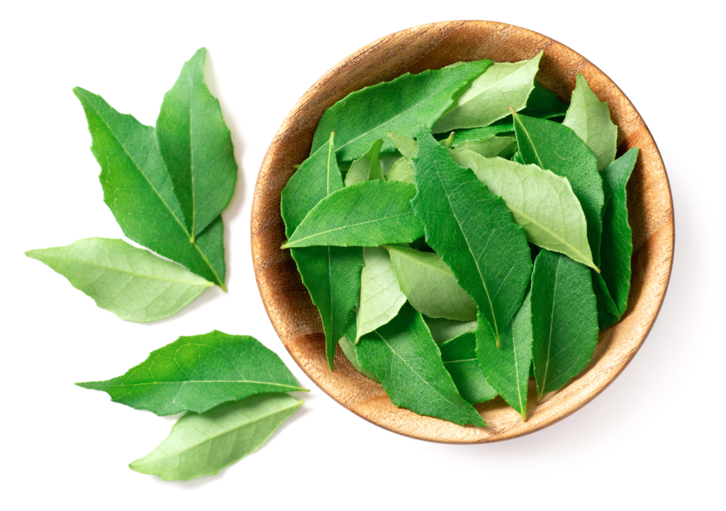 Penggunaan ekstrak daun kari untuk perawatan kulit